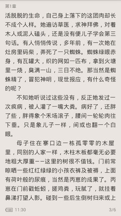 现在商务签可以去菲律宾吗(商务签能否入境)